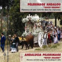 Pèlerinage Andalou - Rocio Grande
