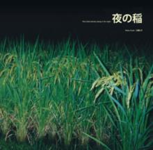 Rice Field Silently Riping in the Night