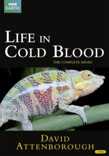 David Attenborough: Life in Cold Blood - The Complete Series