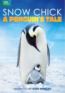 Snow Chick - A Penguin's Tale