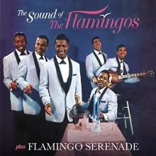 The Sound of the Flamingos + Flamingo Serenade